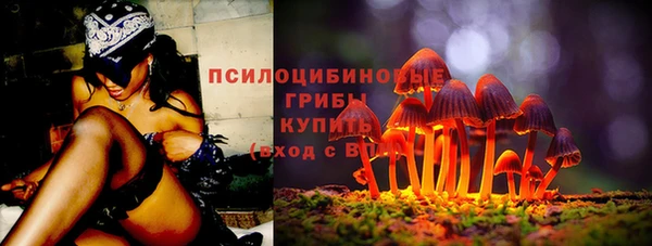 твердый Верея